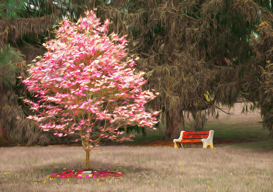 Pinky and The Bench - Impressionism Photograph by Jason Fink