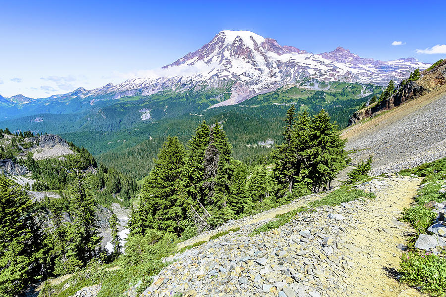 Pinnacle Peak Trail, Mt. Rainier Np Photograph by Wayne Bressler