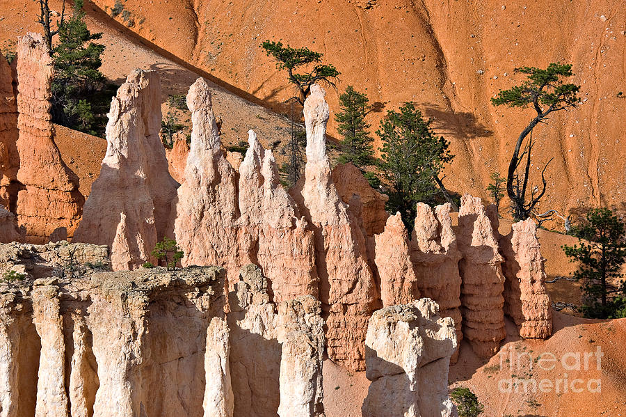 Landscape Photograph - Pinnacles and fins at Sunset Point by Louise Heusinkveld