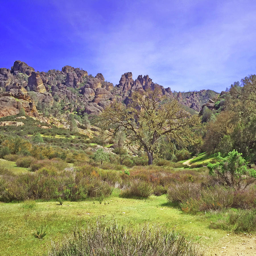 Pinnacles National Park Watercolor Photograph by Art Block Collections