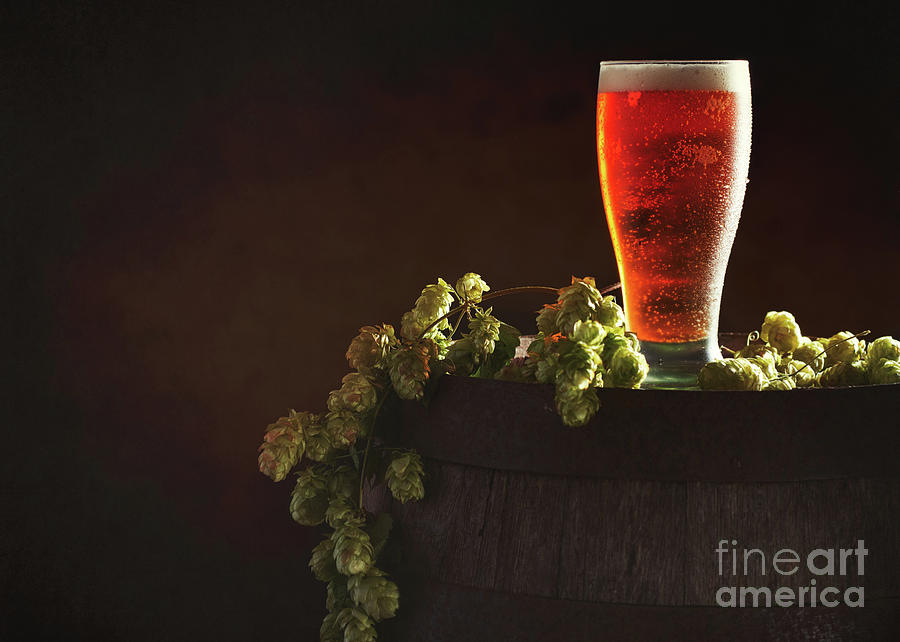 Beer Photograph - Pint Of Beer On Keg by Amanda Elwell