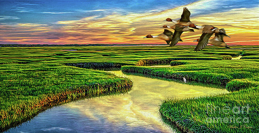 Pintail Duck  Digital Art by Walter Colvin