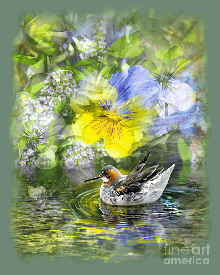 Floral Photograph - Pintail Pond by Chuck Brittenham Floral Photograph - Pintail Pond by Chuck Brittenham