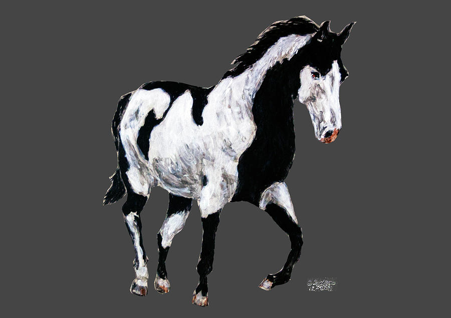 Pinto horse Painting by Ben Soedjono - Fine Art America