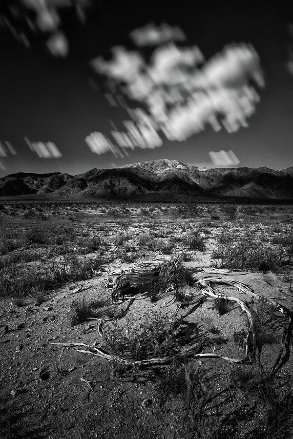 Pinto Mountains Photograph by Todd Higgins - Fine Art America