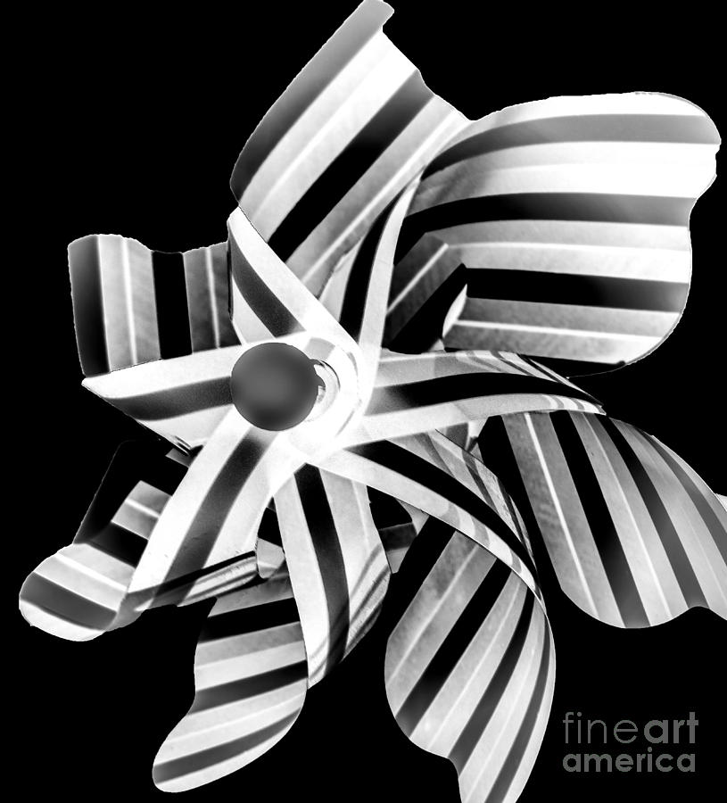 Pinwheel in Black And White by Raven Deem