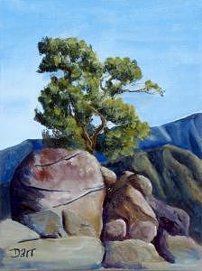 Plein Air Painting - Pinyon Crest by Darr Sandberg Plein Air Painting - Pinyon Crest by Darr Sandberg