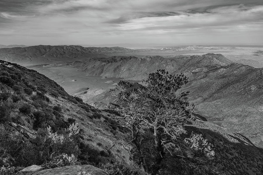 Pinyon Point, May 2017, Black and White Photograph by TM Schultze