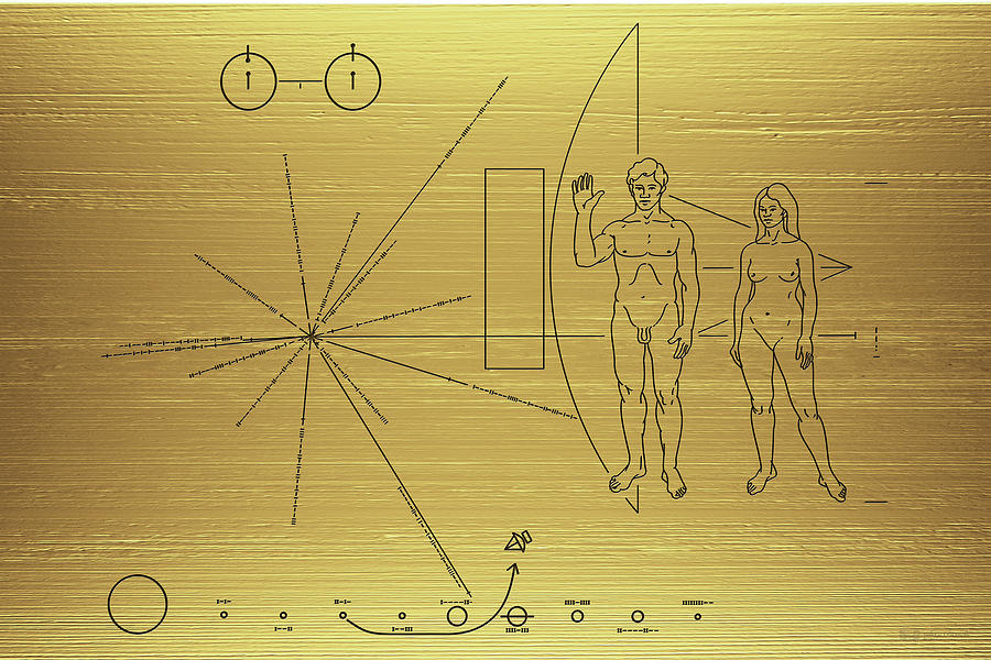 Pioneer 10-11 Golden Plaque Digital Art by Serge Averbukh