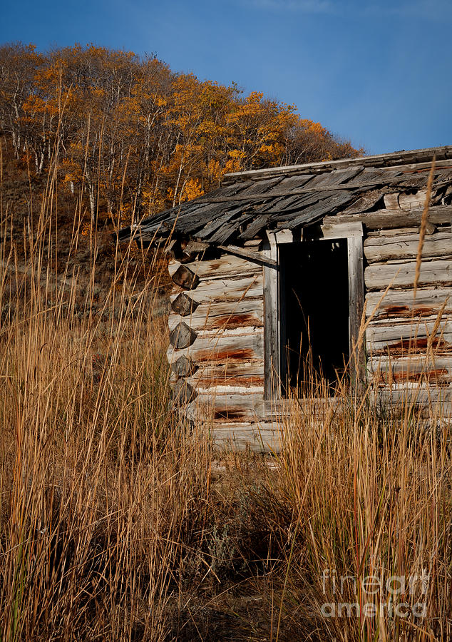 Pioneer Homestead Photograph by Idaho Scenic Images Linda Lantzy - Pixels