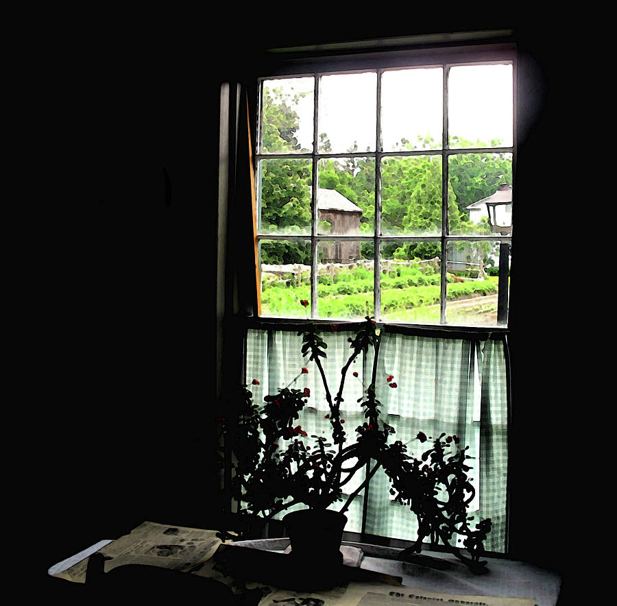 Pioneer Window Photograph by Ian  MacDonald