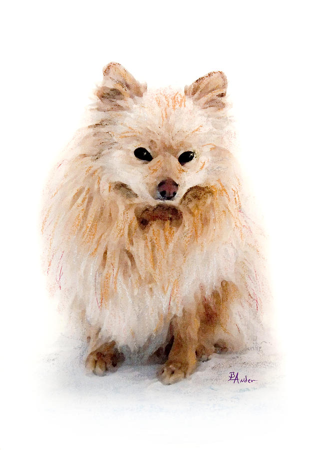 Pip Pastel by Brent Ander
