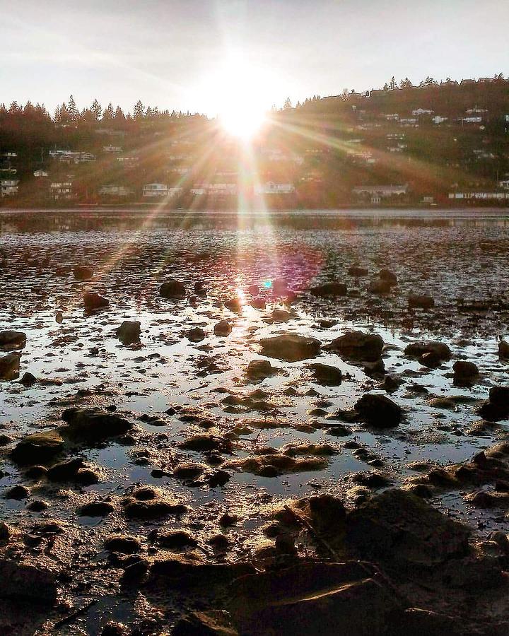 Pipers lagoon sunset Photograph by Sarah Senkow - Fine Art America