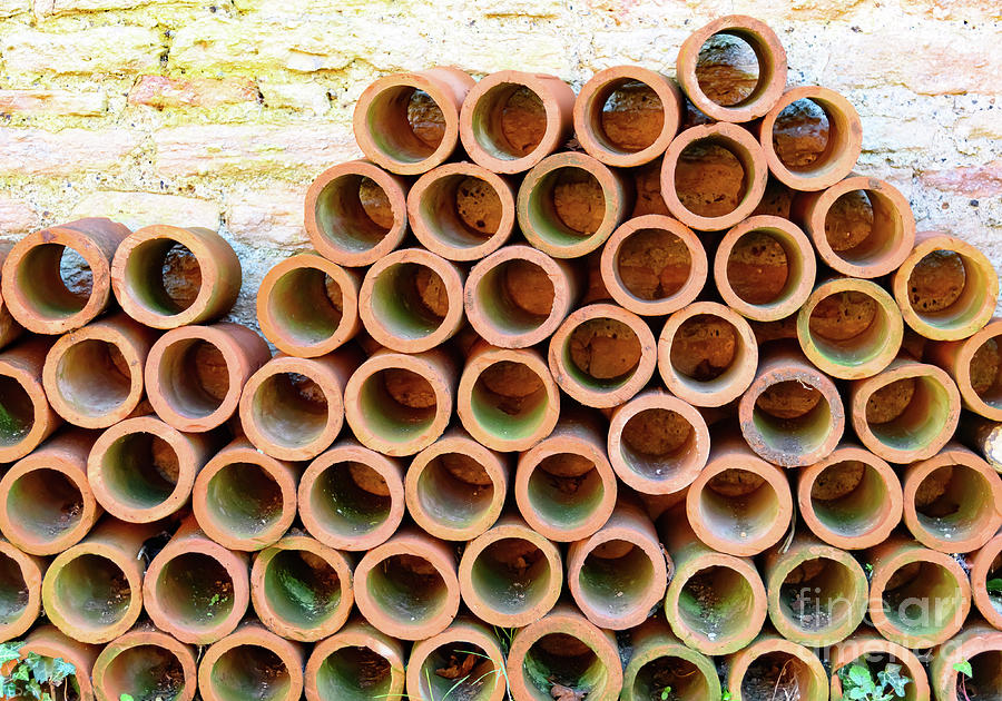 Pipes Photograph by Colin Rayner