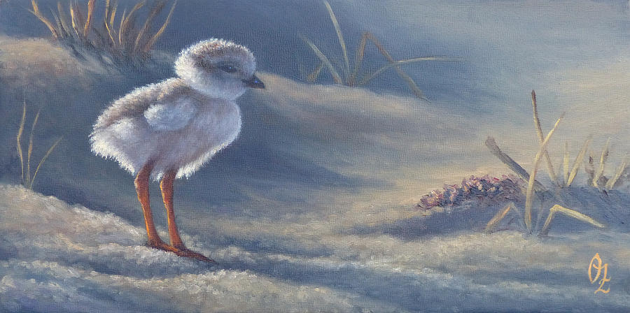 Landscape Painting - Piping Plover chick by Oksana Zotkina