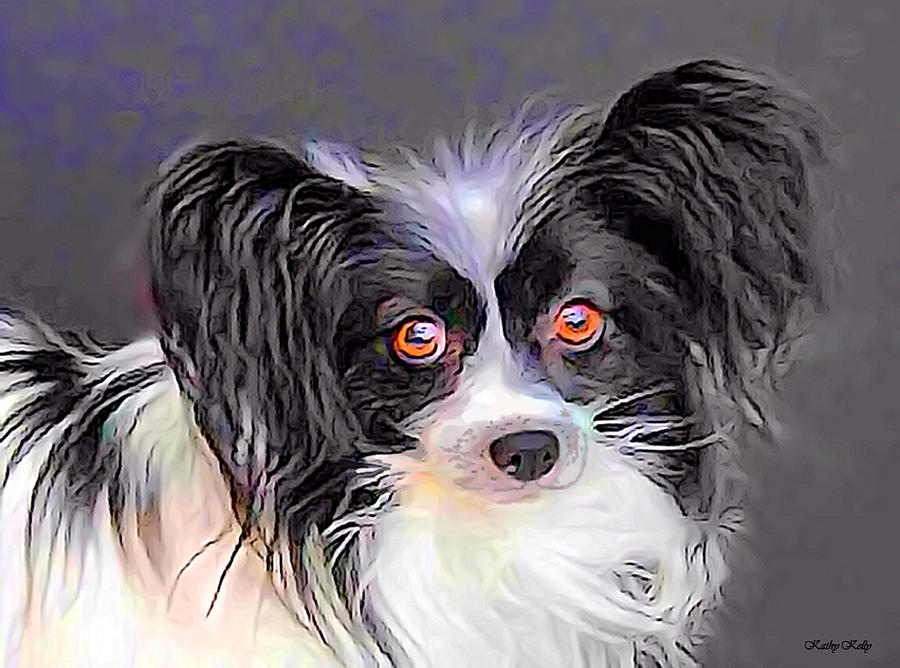 Pippin the Papillon Digital Art by Kathy Kelly