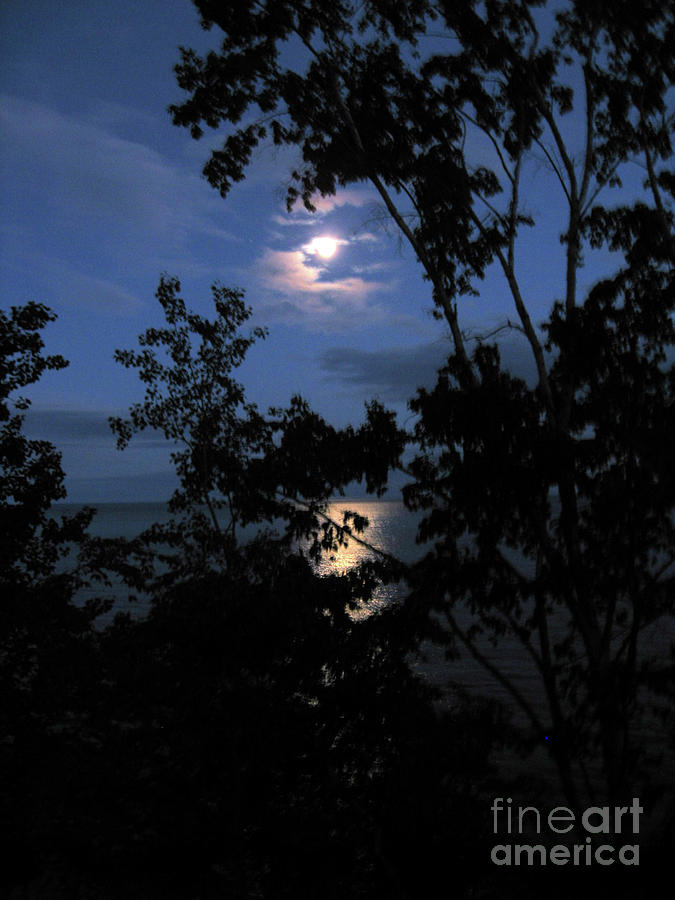 Pique of Moonlight Photograph by Cheryle Gannaway