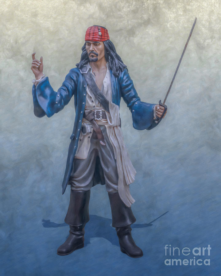 Pirate Captain by Randy Steele