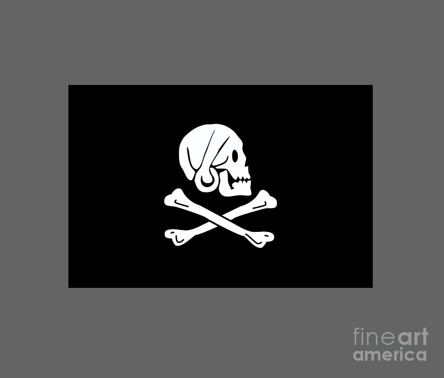 Flag Digital Art - Pirate Flag Of Henry Every by Frederick Holiday
