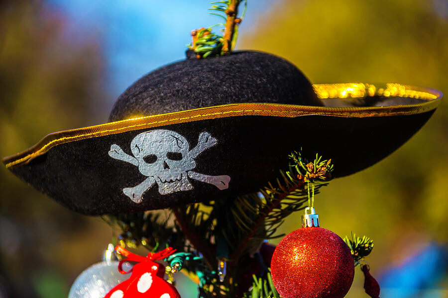 christmas pirate hat