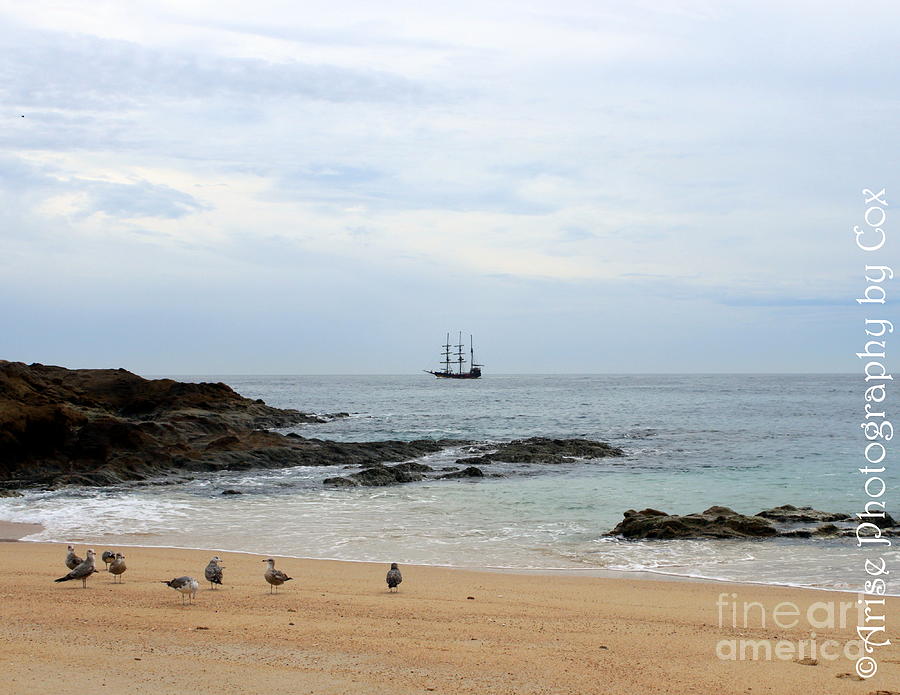 Beach Photograph - Pirate Ship Sea of Cortez Santa Maria Bay by Charlene Cox
