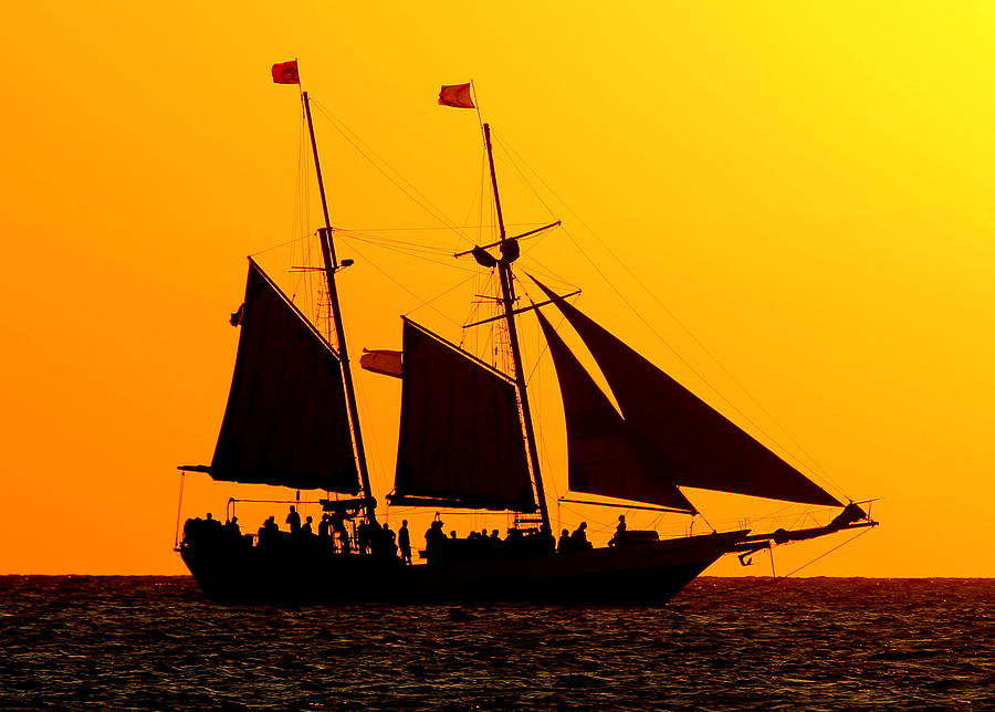 Pirates in the Sun Photograph by Sean Allen