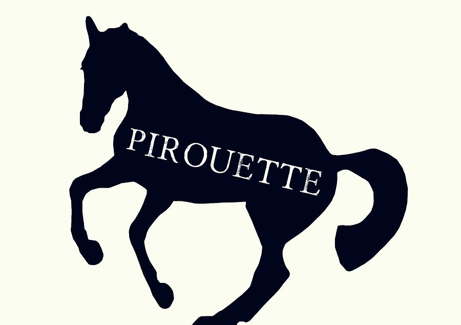 Pirouette Silhouette Photograph by Dressage Design