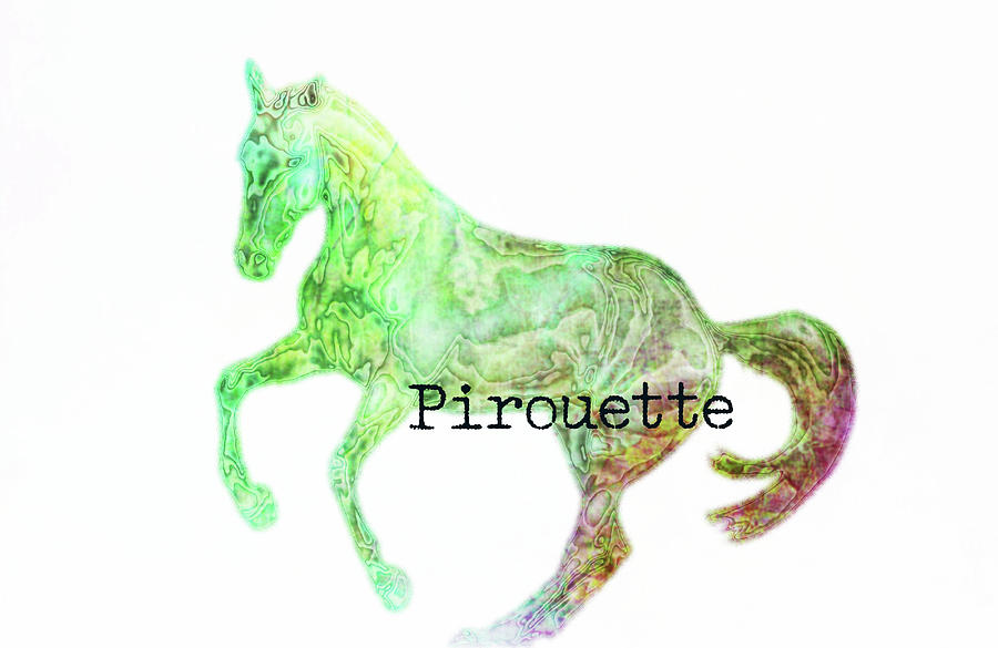 PIROUETTE WATERCOLOR quote Photograph by Dressage Design