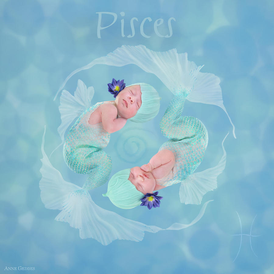 Pisces Photograph by Anne Geddes