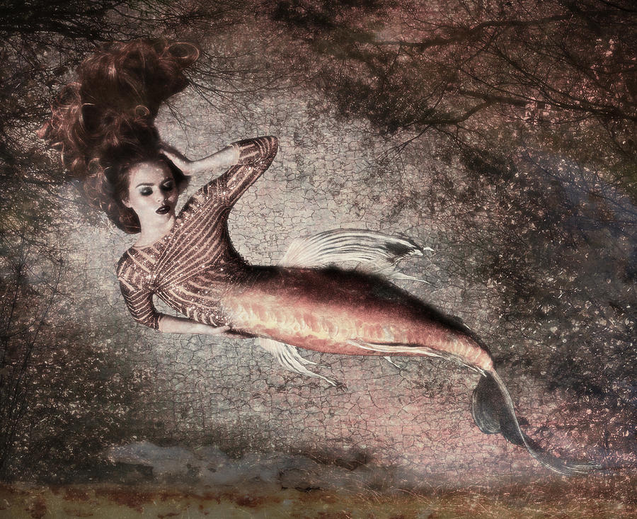 Mermaid Photograph - Pisces by Cactus Sun Studio