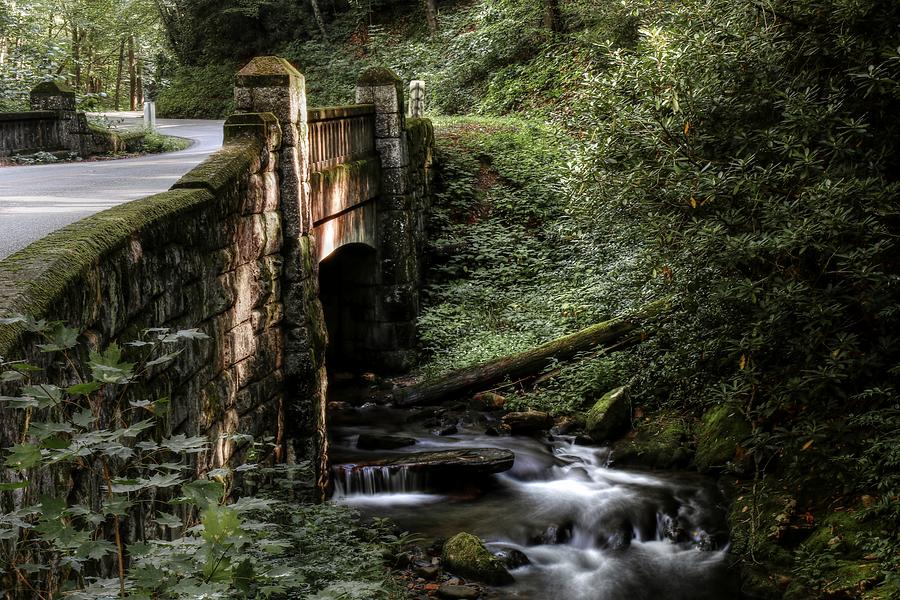 Pisgah National Forest Grace And Style Of The Stone Bridge  Photograph by Carol Montoya