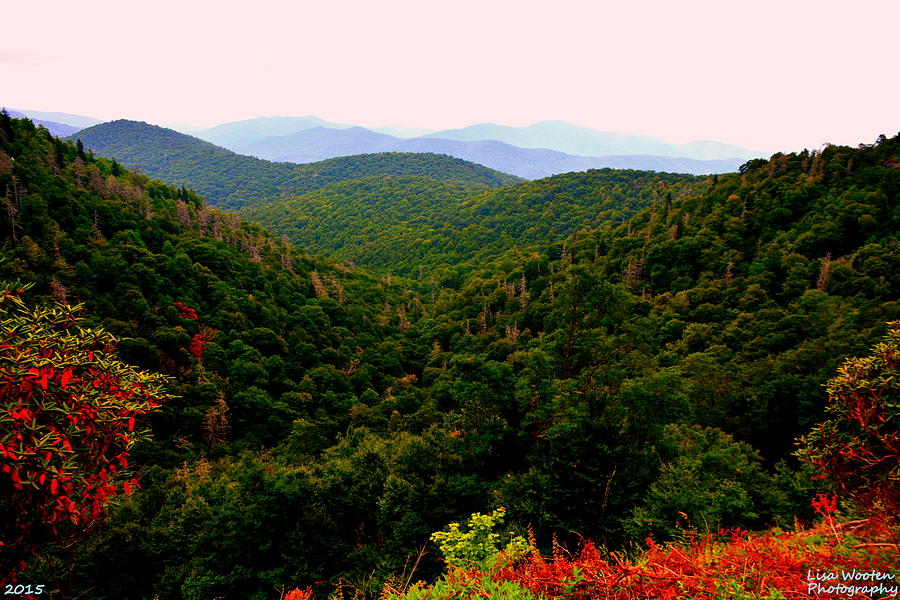Pisgah National Forest NC Photograph by Lisa Wooten