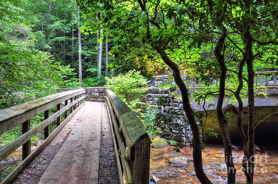 Bridge Photograph - Pisgah National Forest by Savannah Gibbs