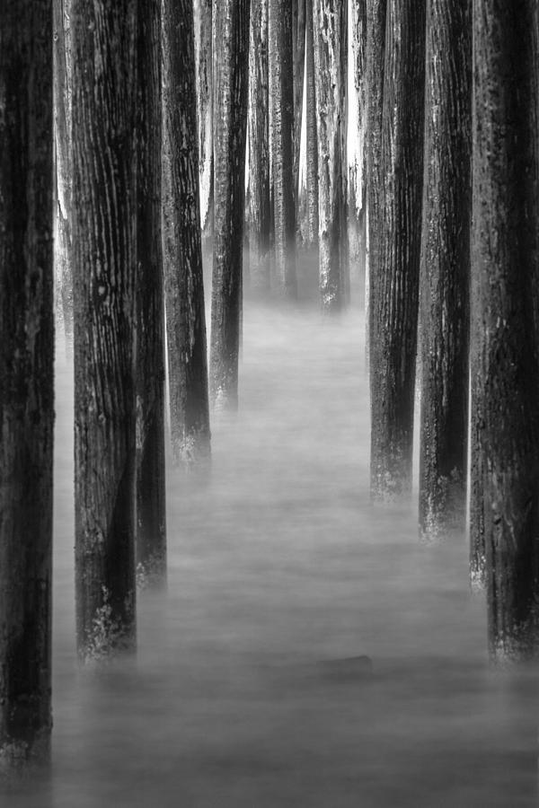 Pismo Beach Pier in Morning Black and White Photograph by John McGraw
