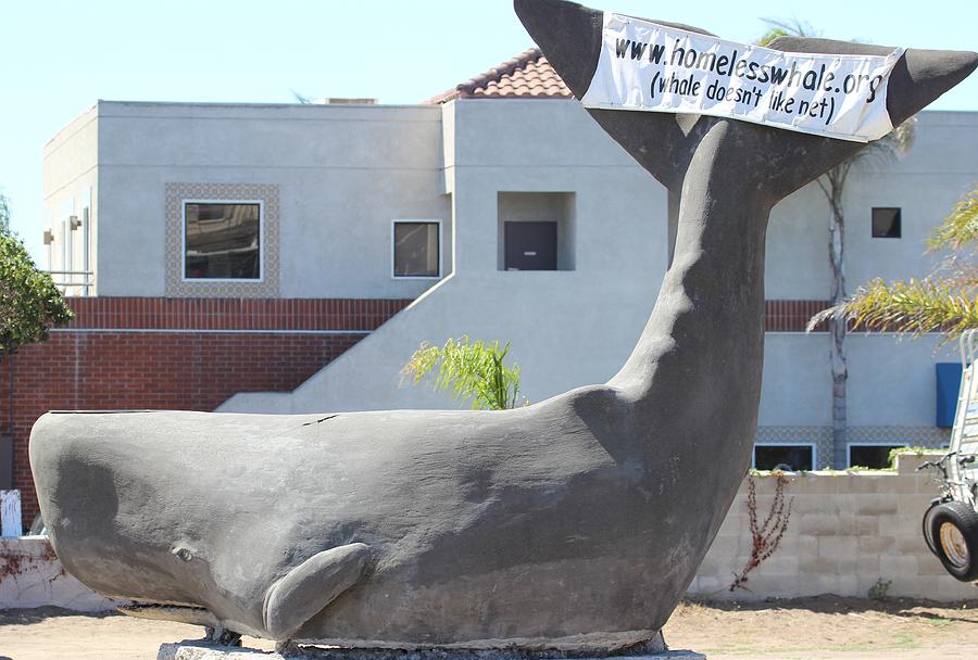 Pismo Homeless Whale Photograph By Gary Canant - Fine Art America