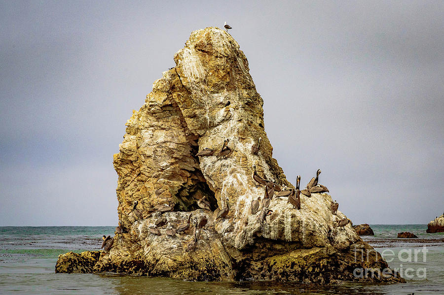 Pismo Rock  Photograph by Jeff Hubbard