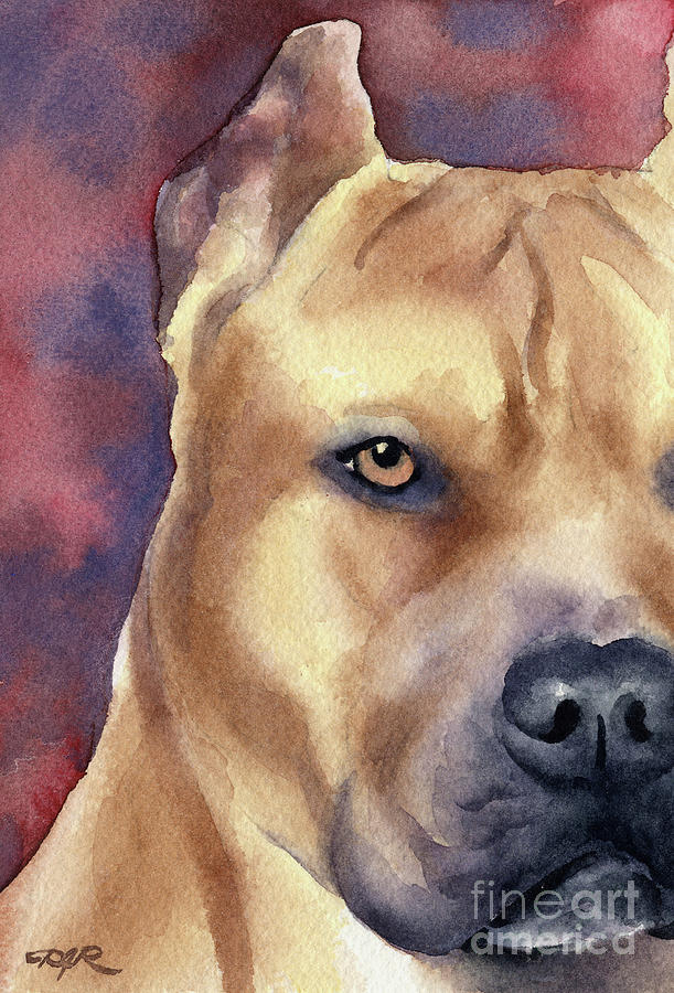 Portrait Painting - Pit Bull by David Rogers