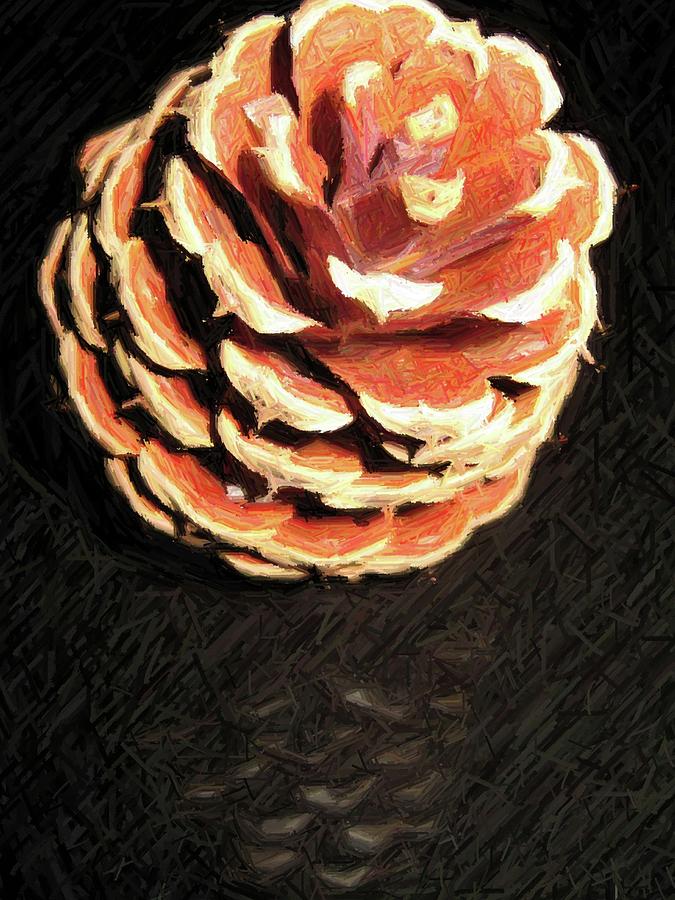 Pitch Pine Cone Photograph by Susan Carella