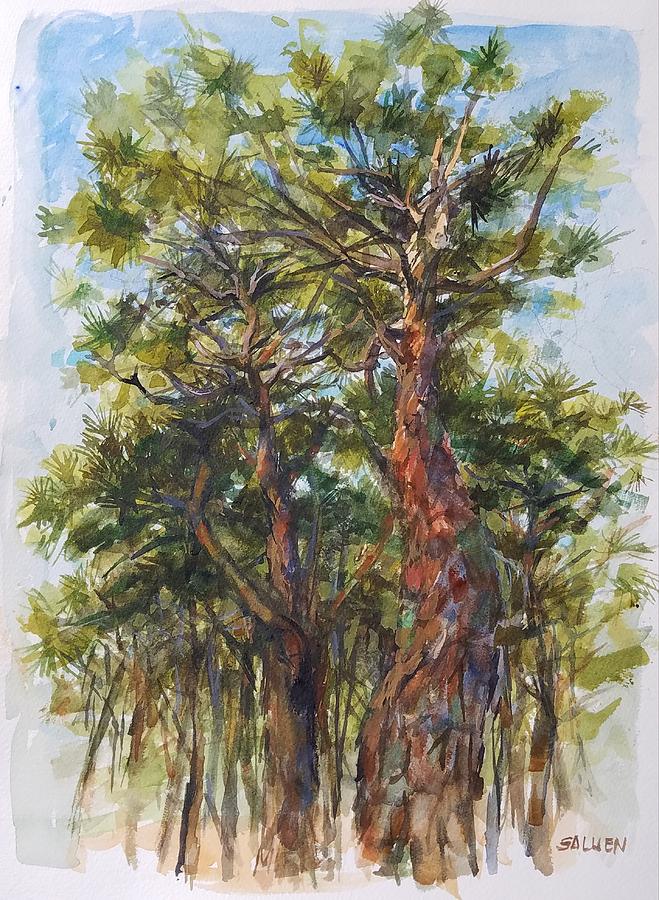 Pitch Pines, Cape Cod Painting by Peter Salwen