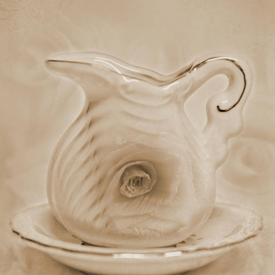 Pitcher And Saucer Photograph by Sandra Foster