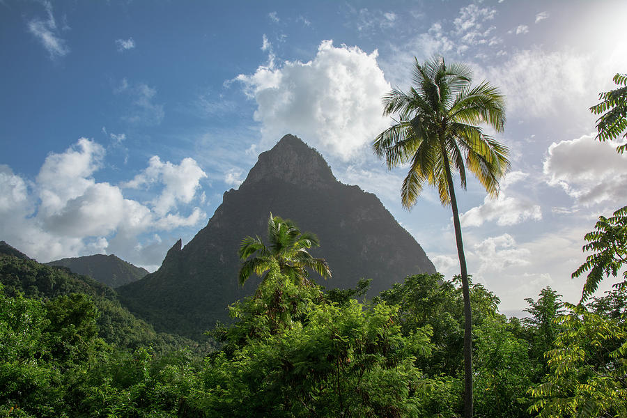 Pitons St Lucia Photograph by Nicole Freedman