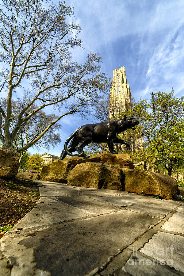 Pitt Panther Cathedral of Learning Photograph by Thomas R Fletcher