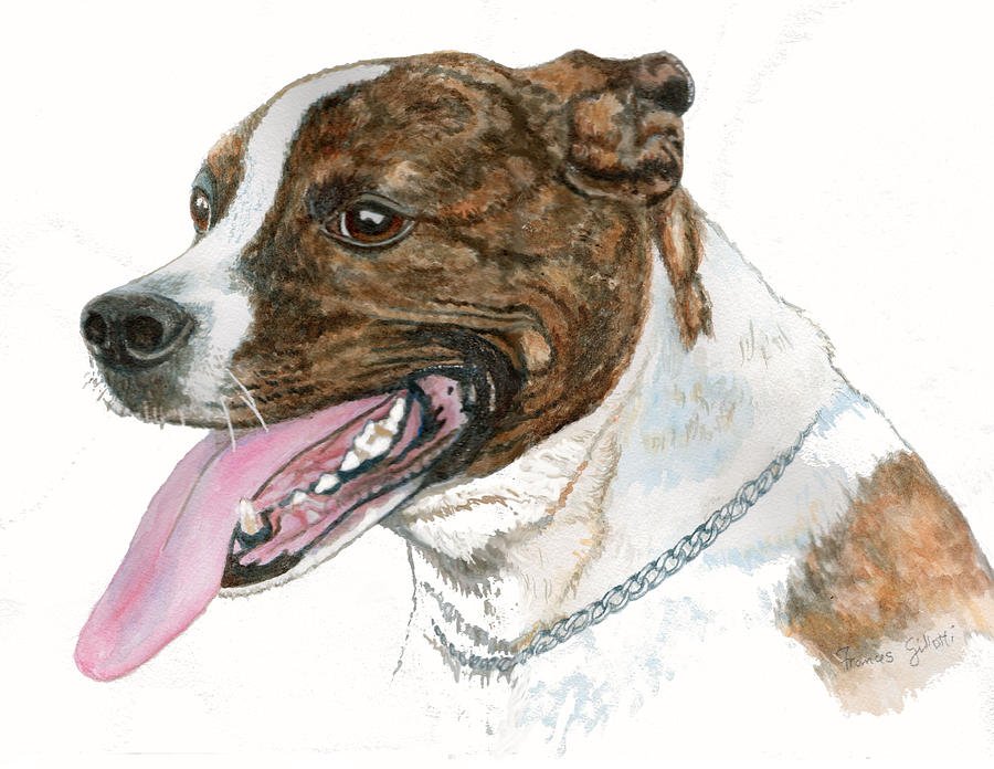 Animal Painting - Pittbull Dog by Frances Gillotti