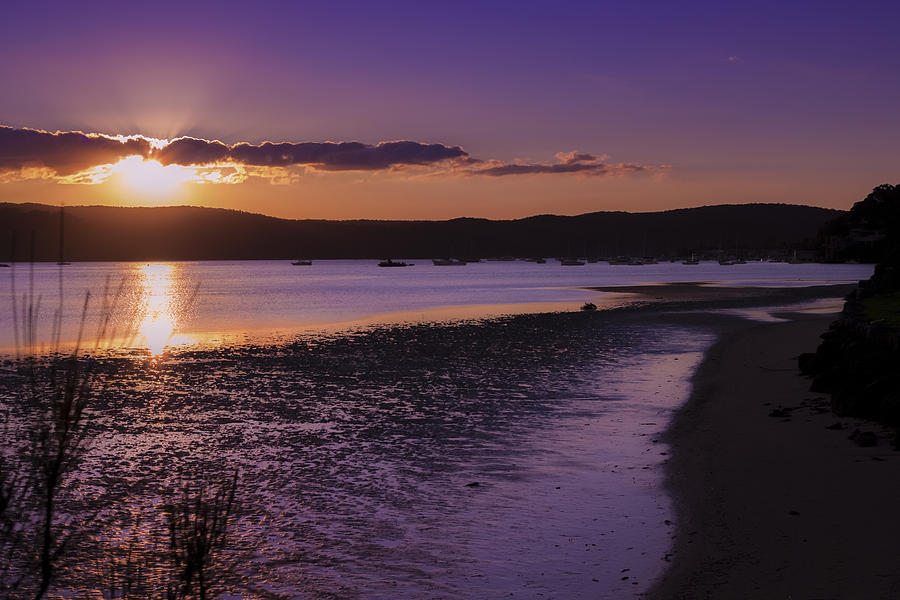 Pittwater Sunset Photograph by Chris Hood - Fine Art America