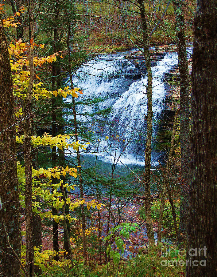 Pixley Falls in Autumn Photograph by Diane E Berry