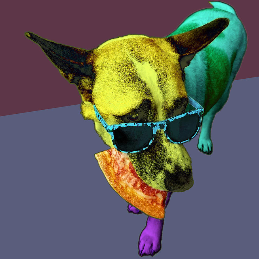 Cool Digital Art - Pizza Dog by James W Johnson