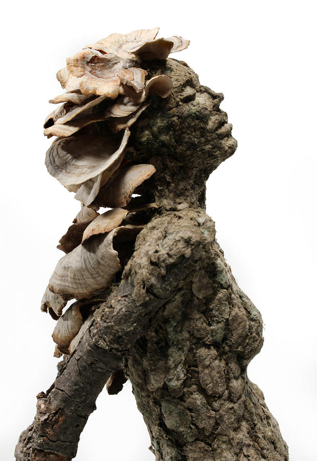 Fantasy Mixed Media - Placid Efflorescence A sculpture by Adam Long by Adam Long