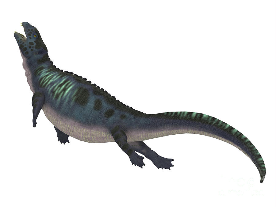 Prehistoric Digital Art - Placodus Dinosaur Side Profile by Corey Ford