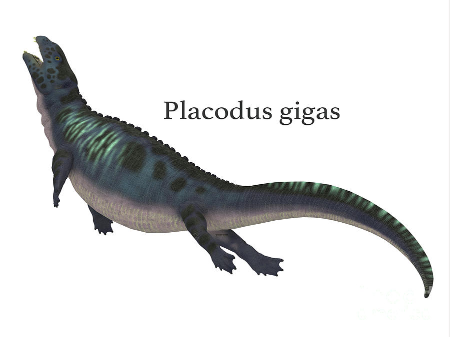 Prehistoric Digital Art - Placodus Dinosaur with Font by Corey Ford