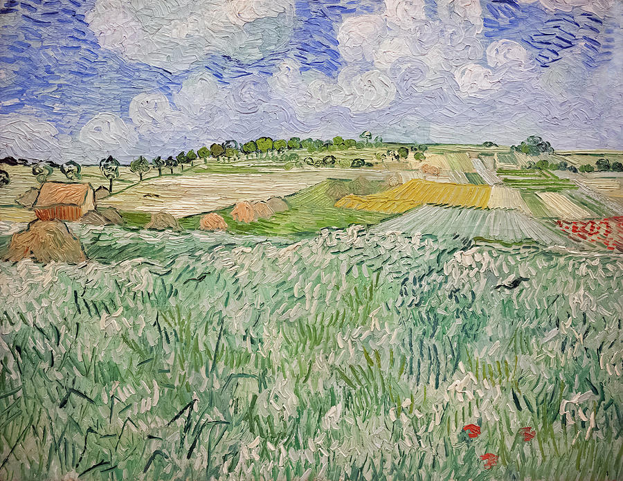 Plain near Auvers Painting by Vincent van Gogh
